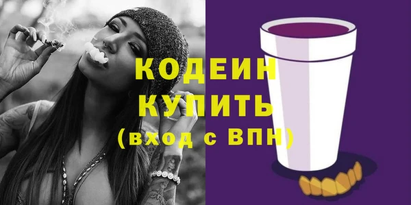 индика Пересвет