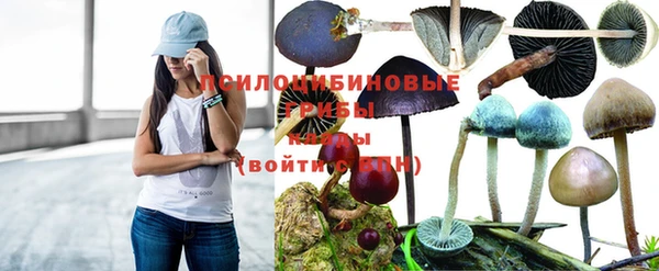 MESCALINE Абаза
